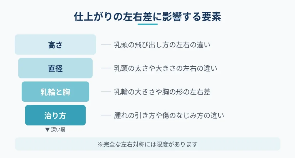 乳頭縮小の仕上がりの左右差に影響する主な要素を整理した図