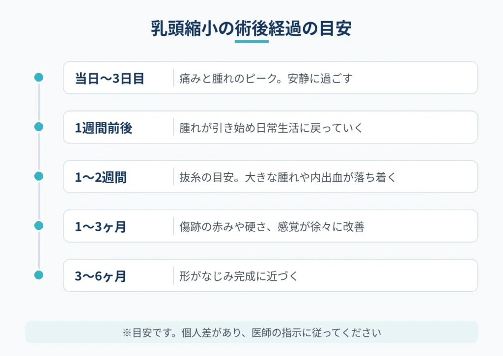 乳頭縮小の術後当日から完成までの経過を時期ごとにまとめた時系列の図