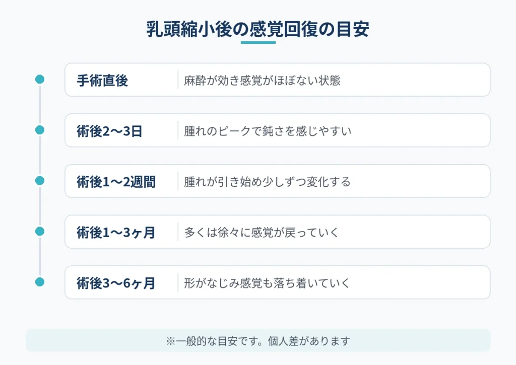 乳頭縮小後に乳頭の感覚が回復していく時期ごとの目安