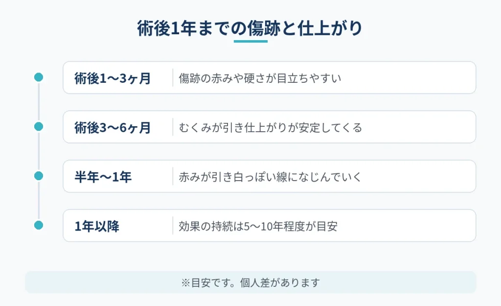 切開フェイスリフト後1年までの傷跡と仕上がりの変化の目安