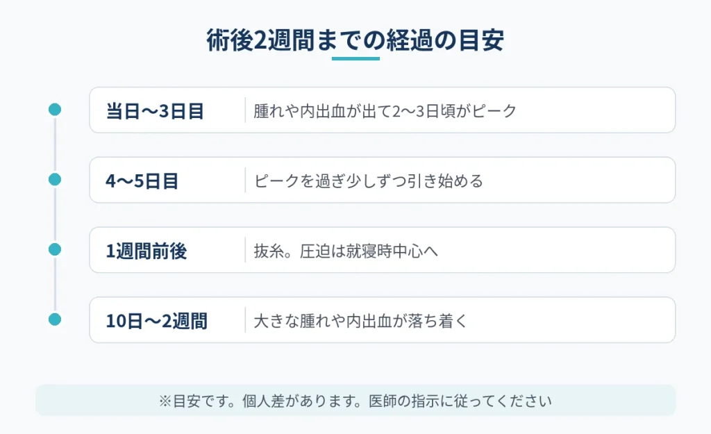 切開フェイスリフトの手術当日から術後2週間までの経過の目安