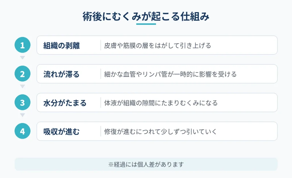 切開フェイスリフト後にむくみが起こり落ち着くまでの仕組み